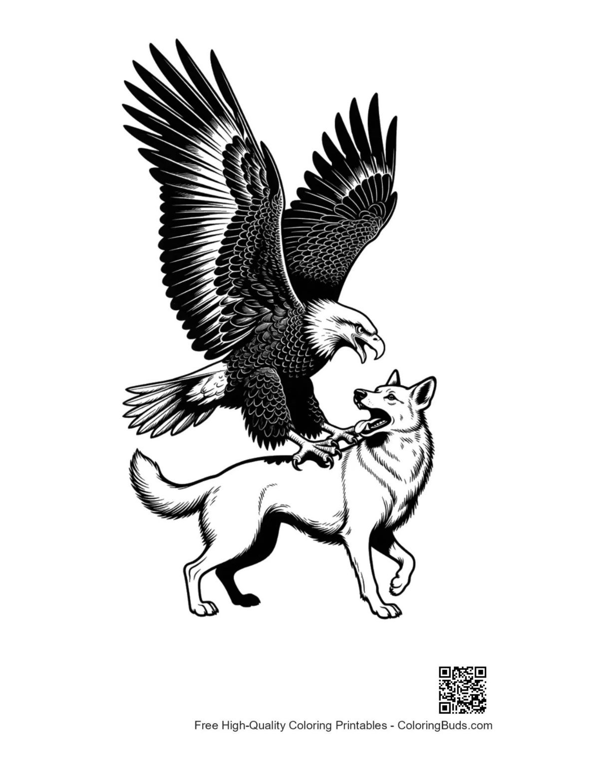 Fierce bald eagle claws on snarling white wolf
