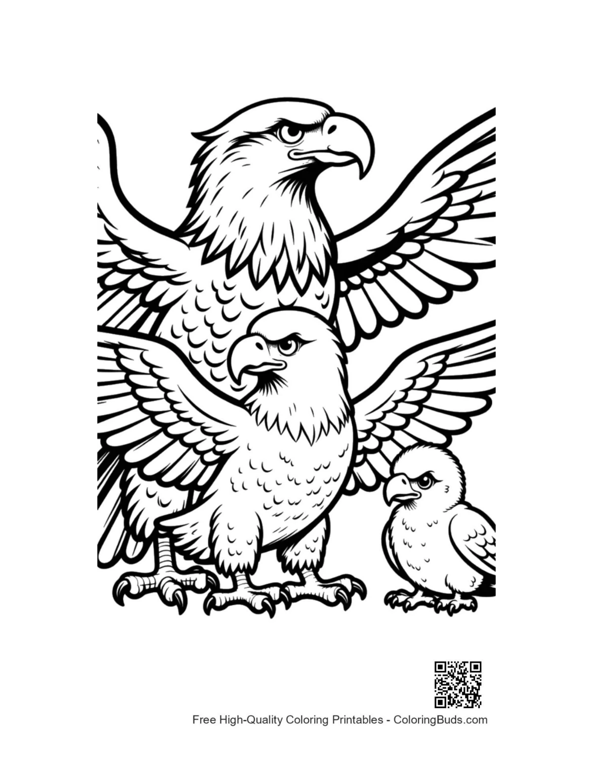 Fierce majestic bald eagle family outline