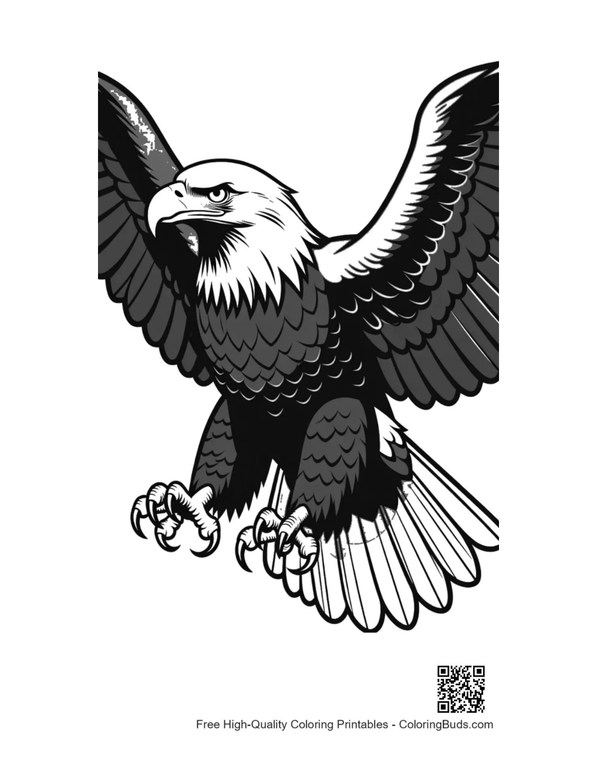 Fierce bald eagle diving with talons extended