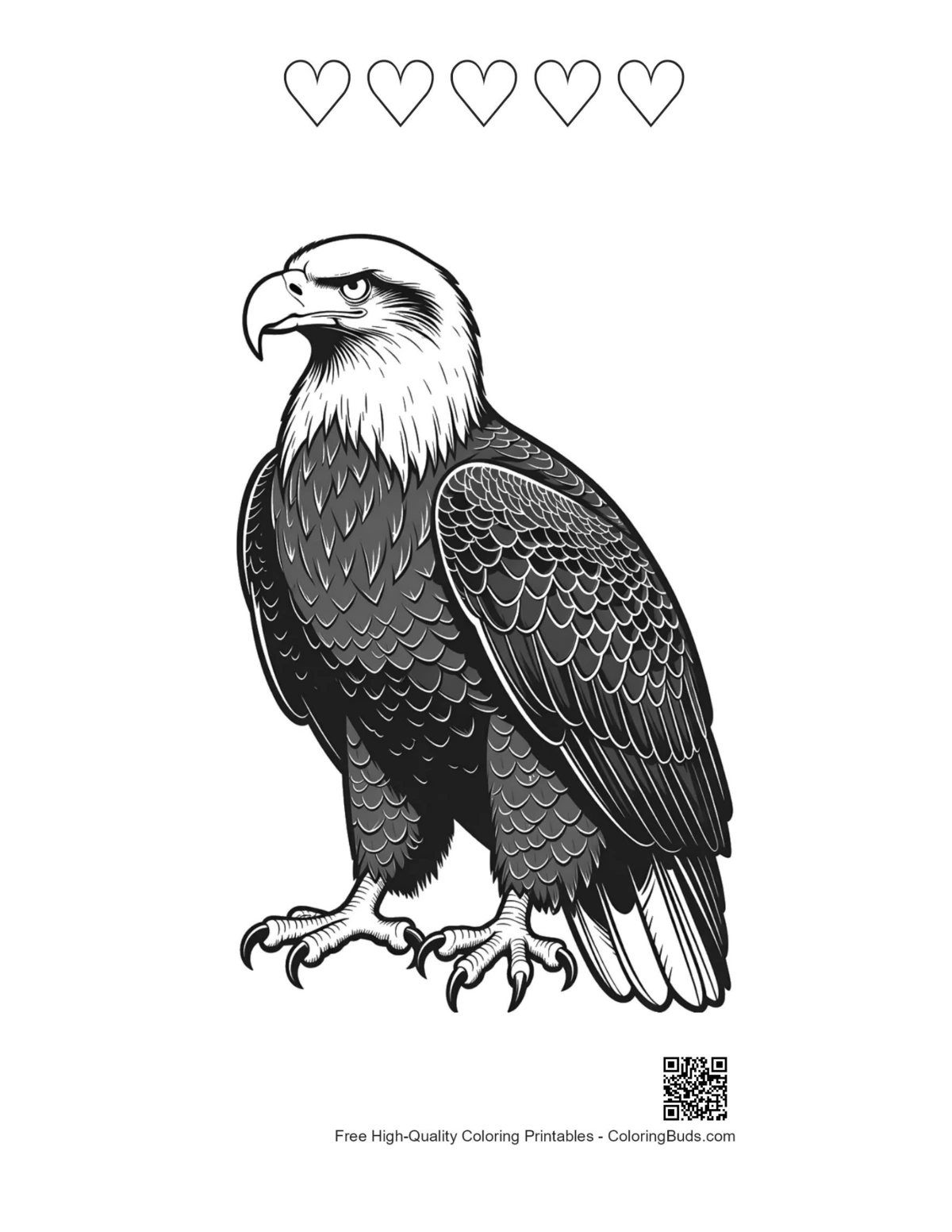 Heart-themed bald eagle printable outline