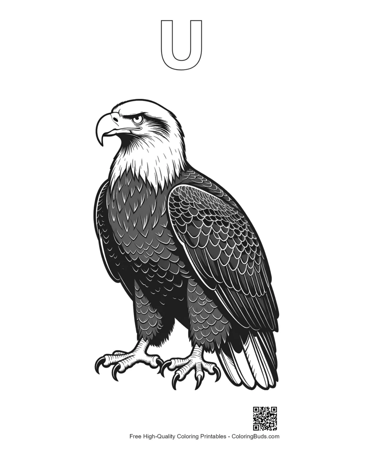 Bald eagle outline shaped like letter U