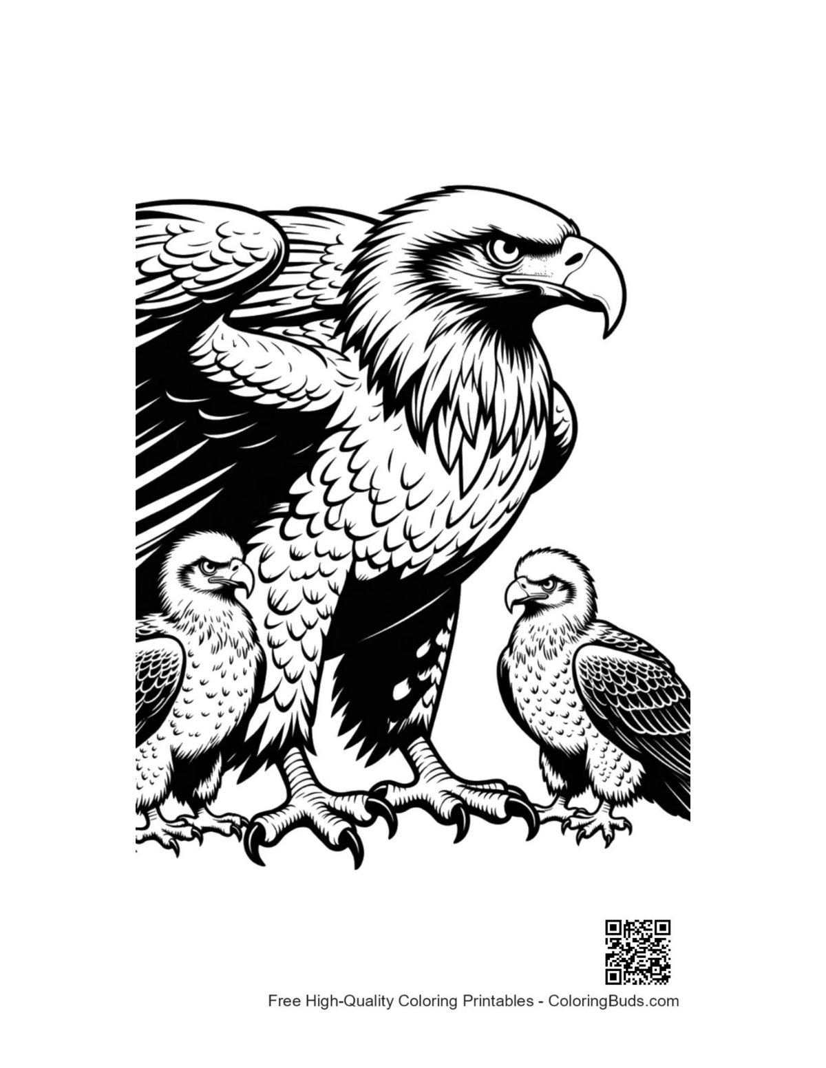 Fierce bald eagle guarding eaglets image