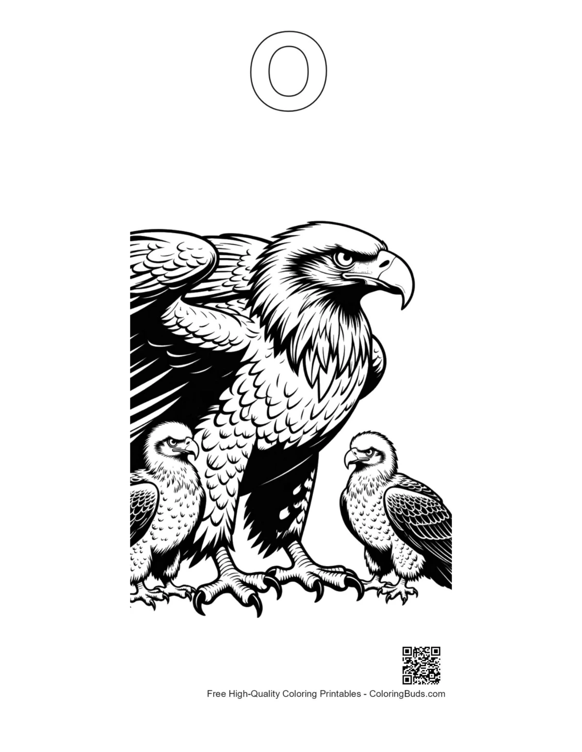 Outline fierce bald eagle eaglets alphabet O printable