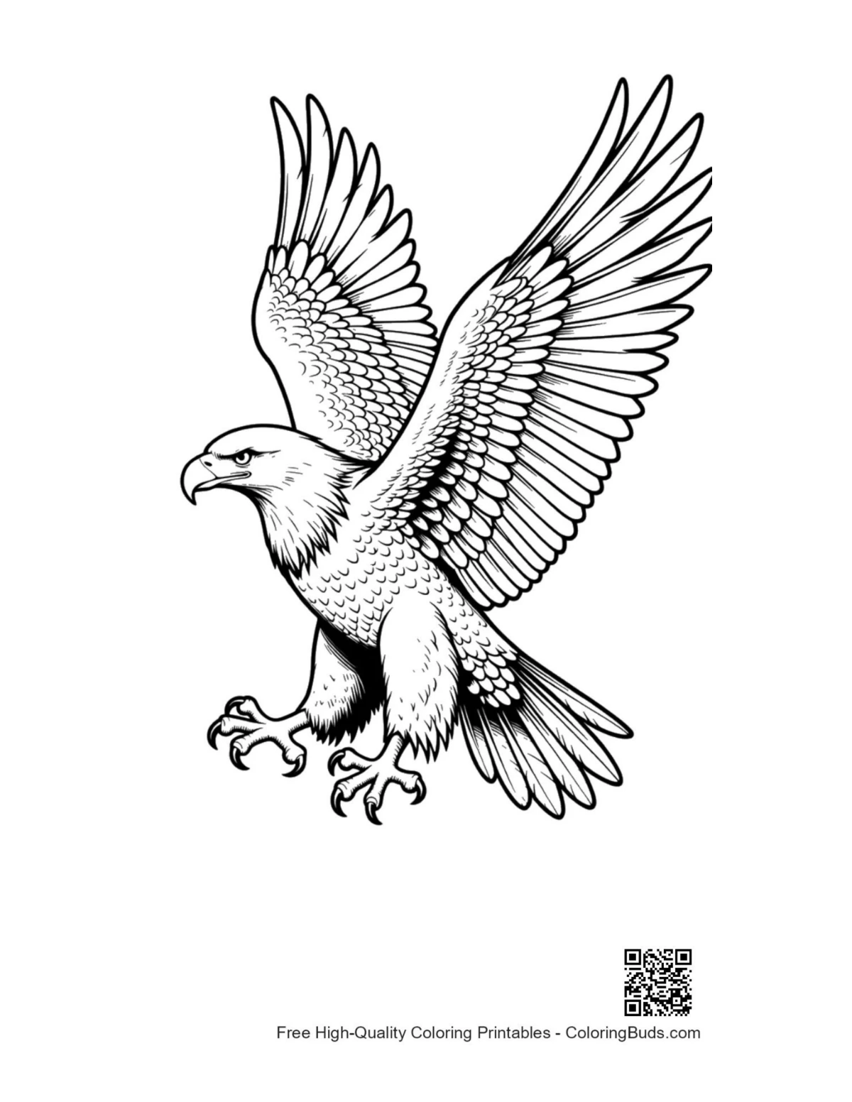 Fierce golden eagle soaring with talons extended