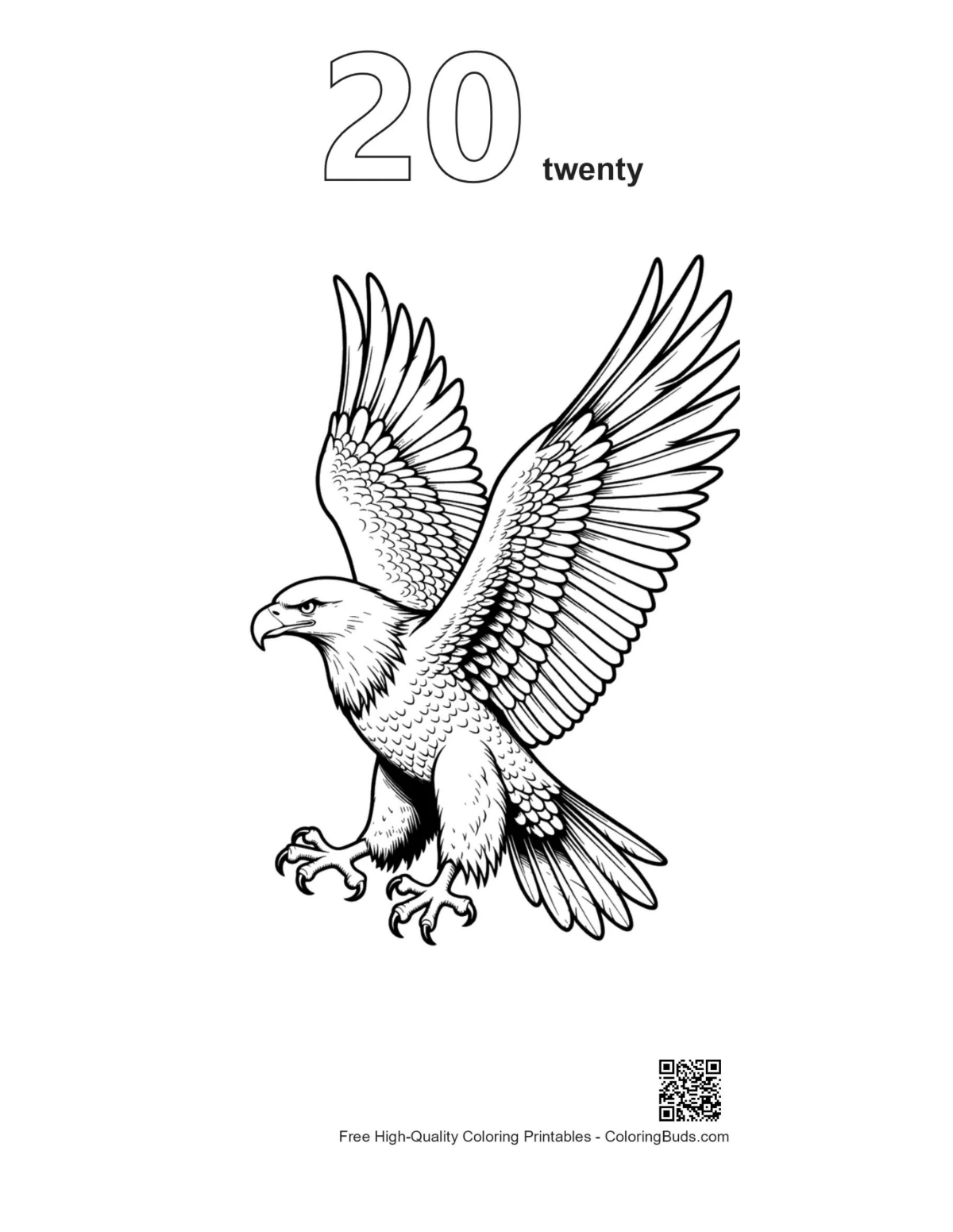 Golden eagle outline coloring page number 20