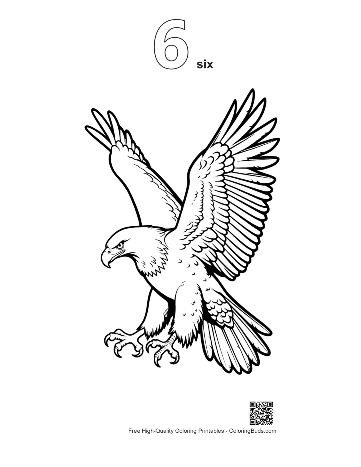Golden eagle fierce dive outline printable #6
