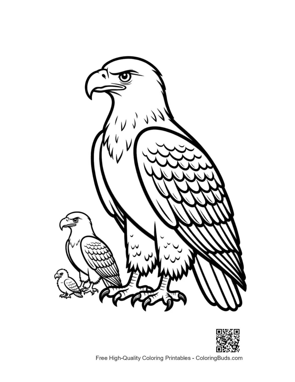 Line art of golden eagle family