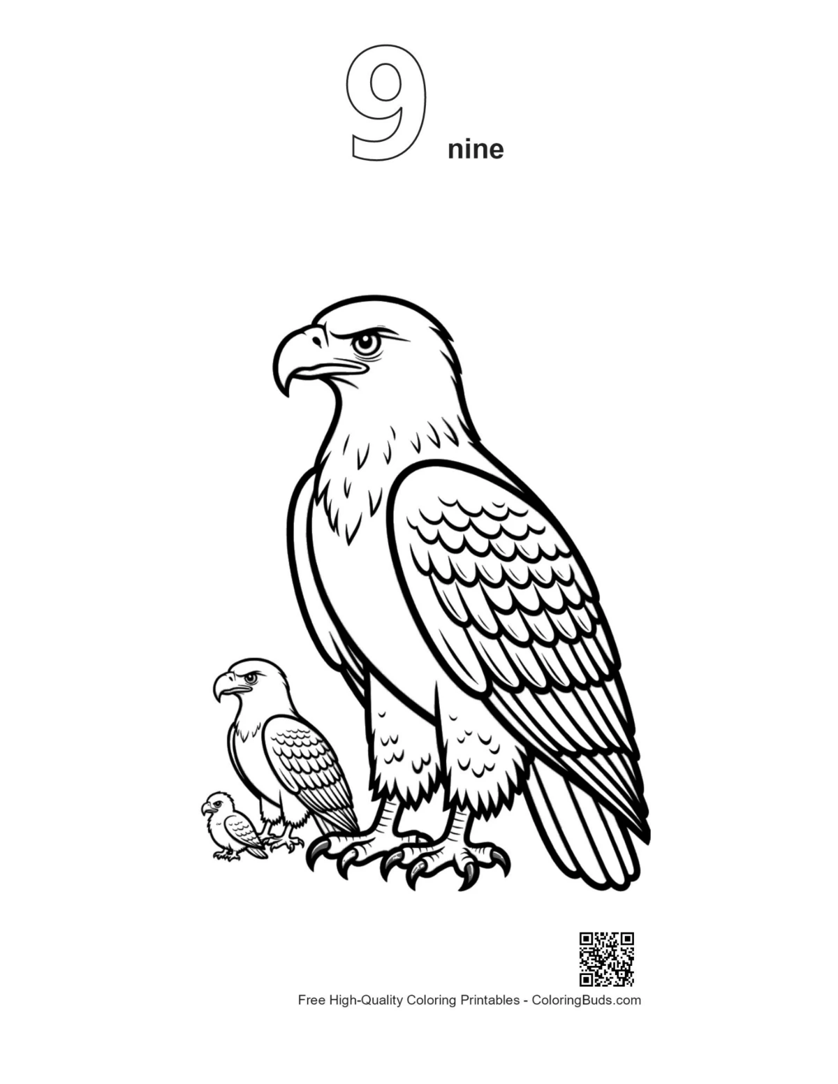 Golden eagle family outline with number 9