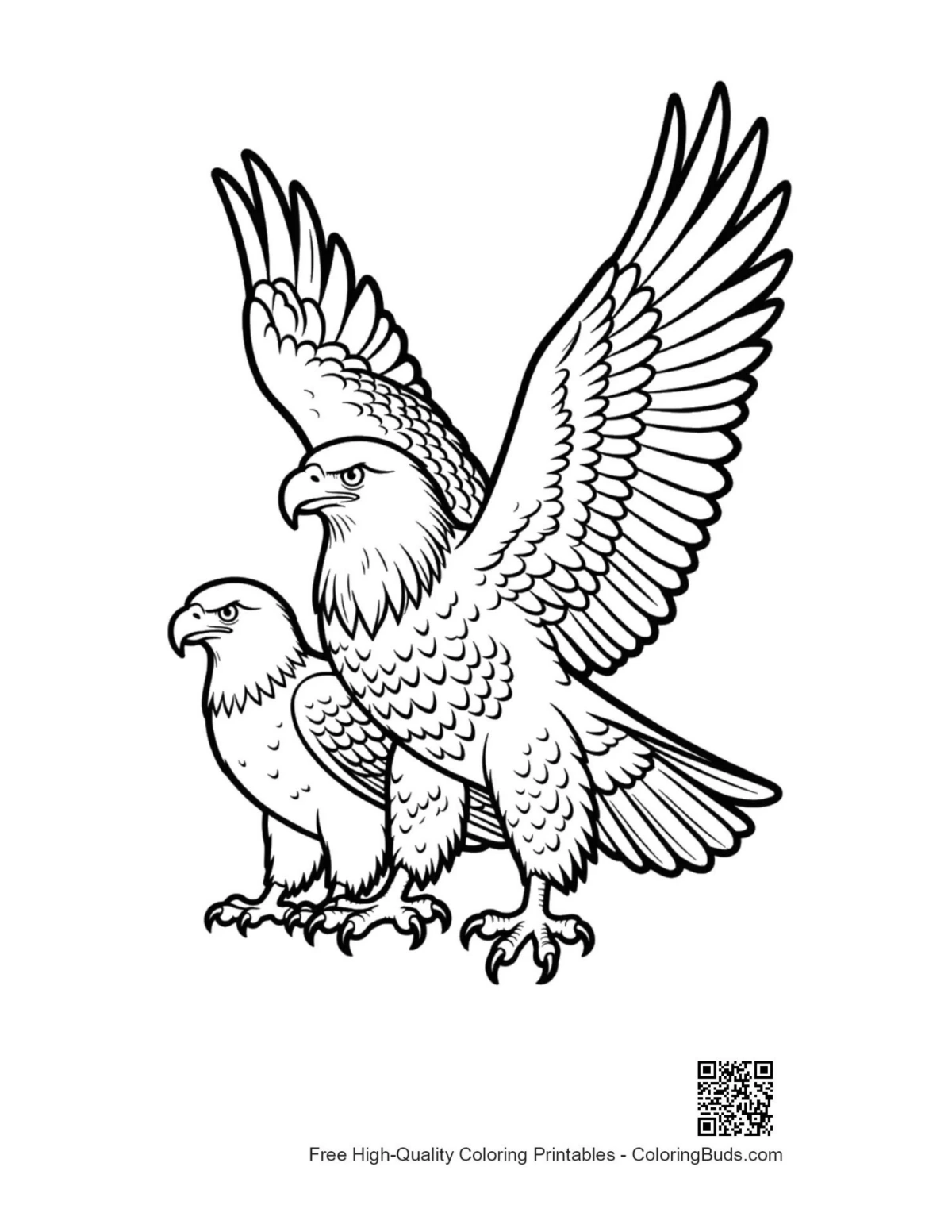 Majestic adult and juvenile bald eagles artwork