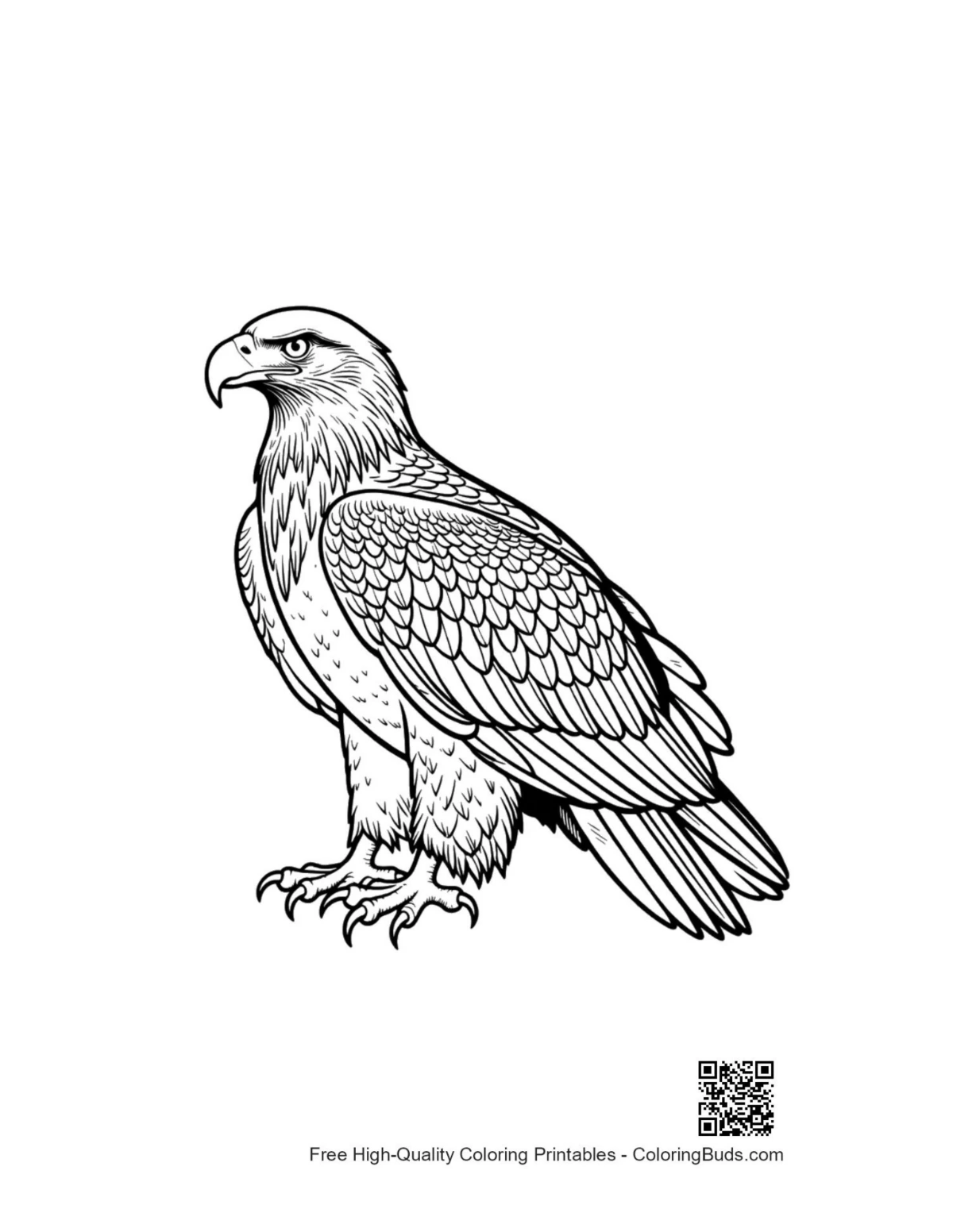 Profile view of majestic golden eagle
