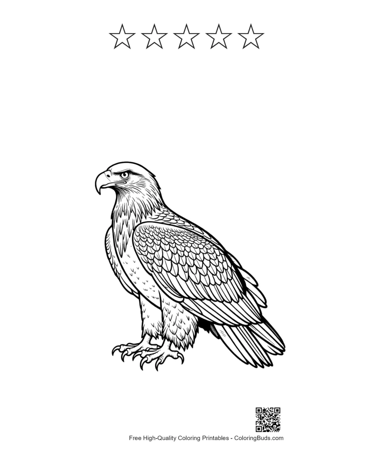 Golden eagle with 5-star outline printable