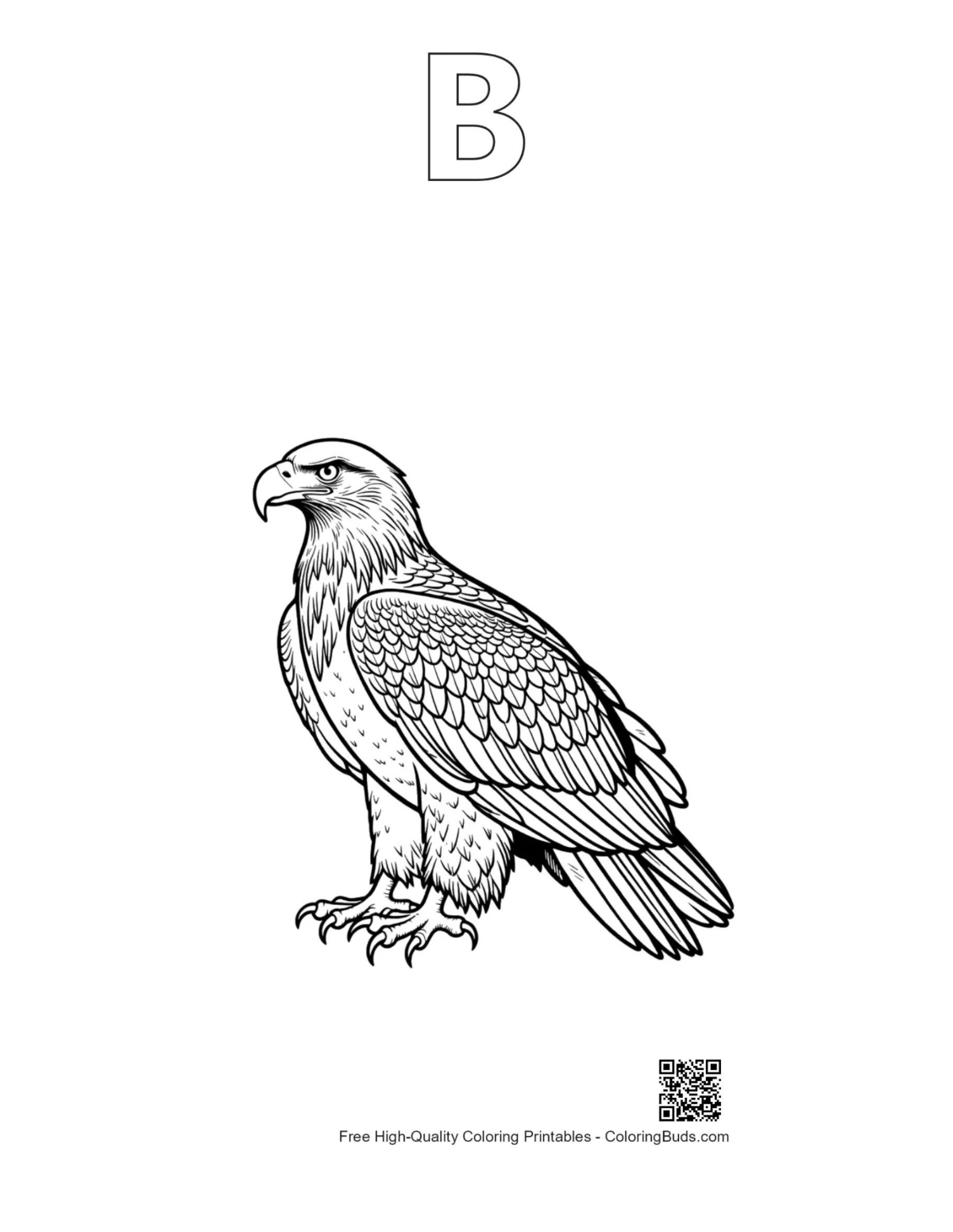 Eagle outline with alphabet B design