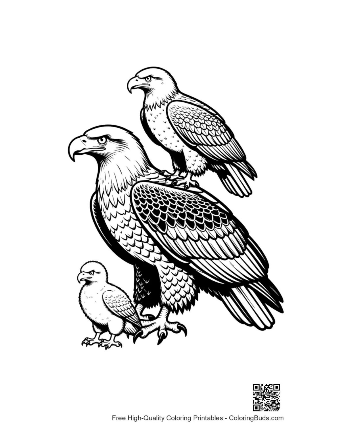 Stacked bald eagle family illustration
