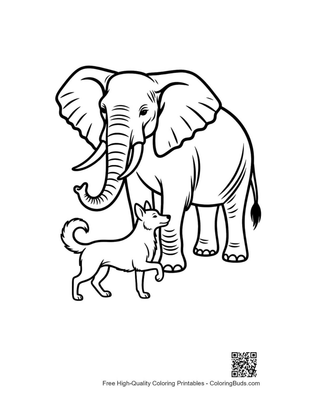 Cute African elephant and Pomeranian together
