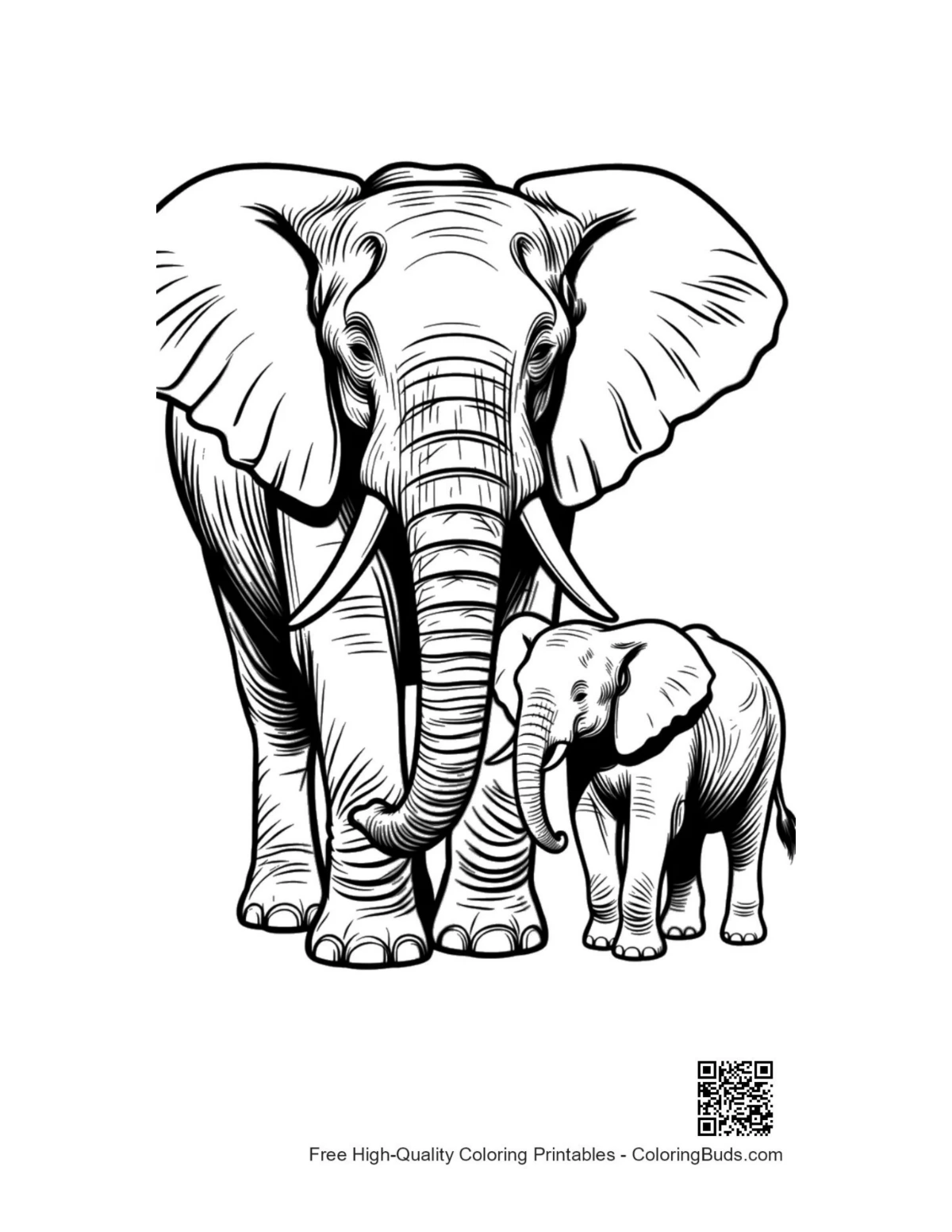 African elephant mother and calf illustration