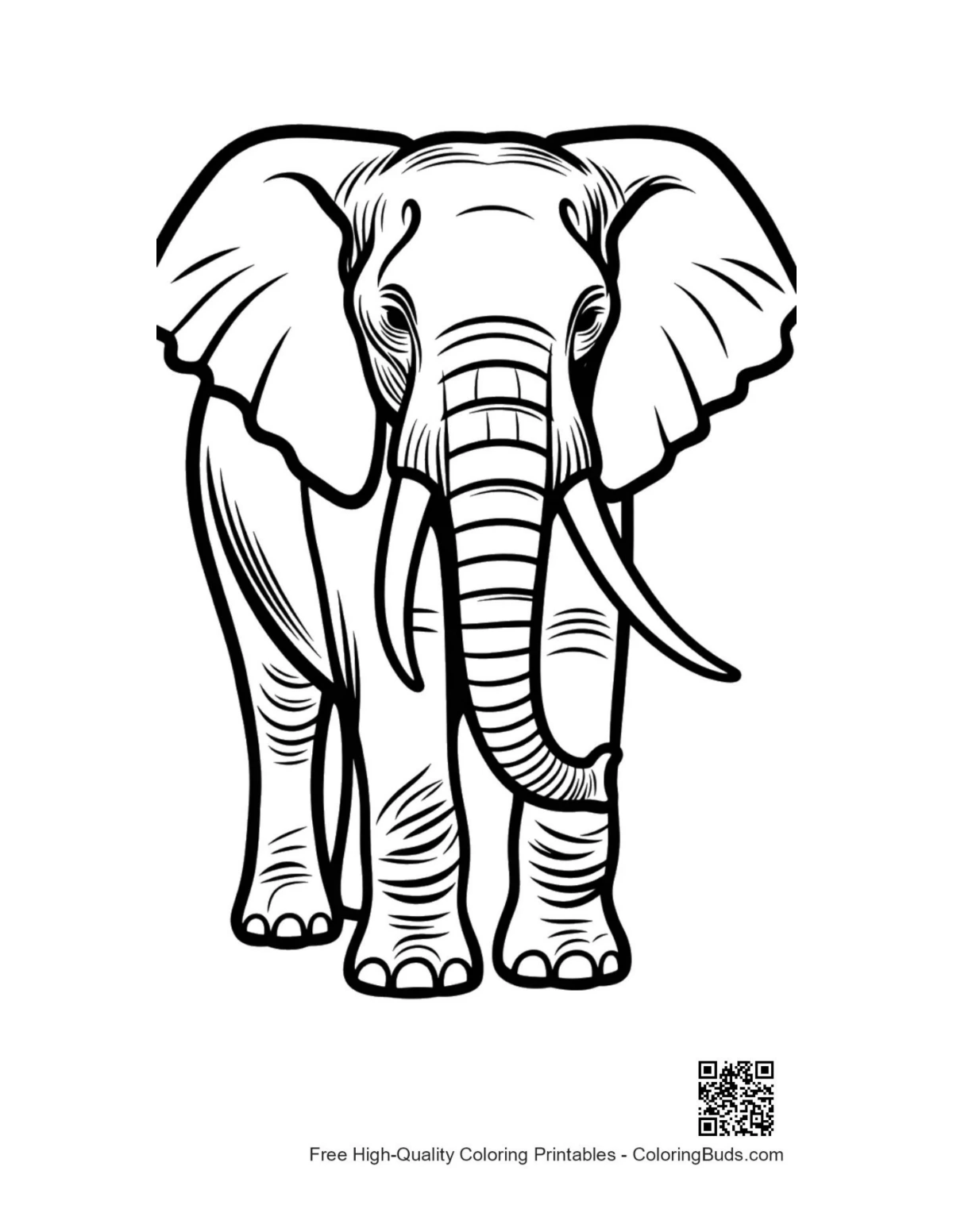 African elephant outline portrait