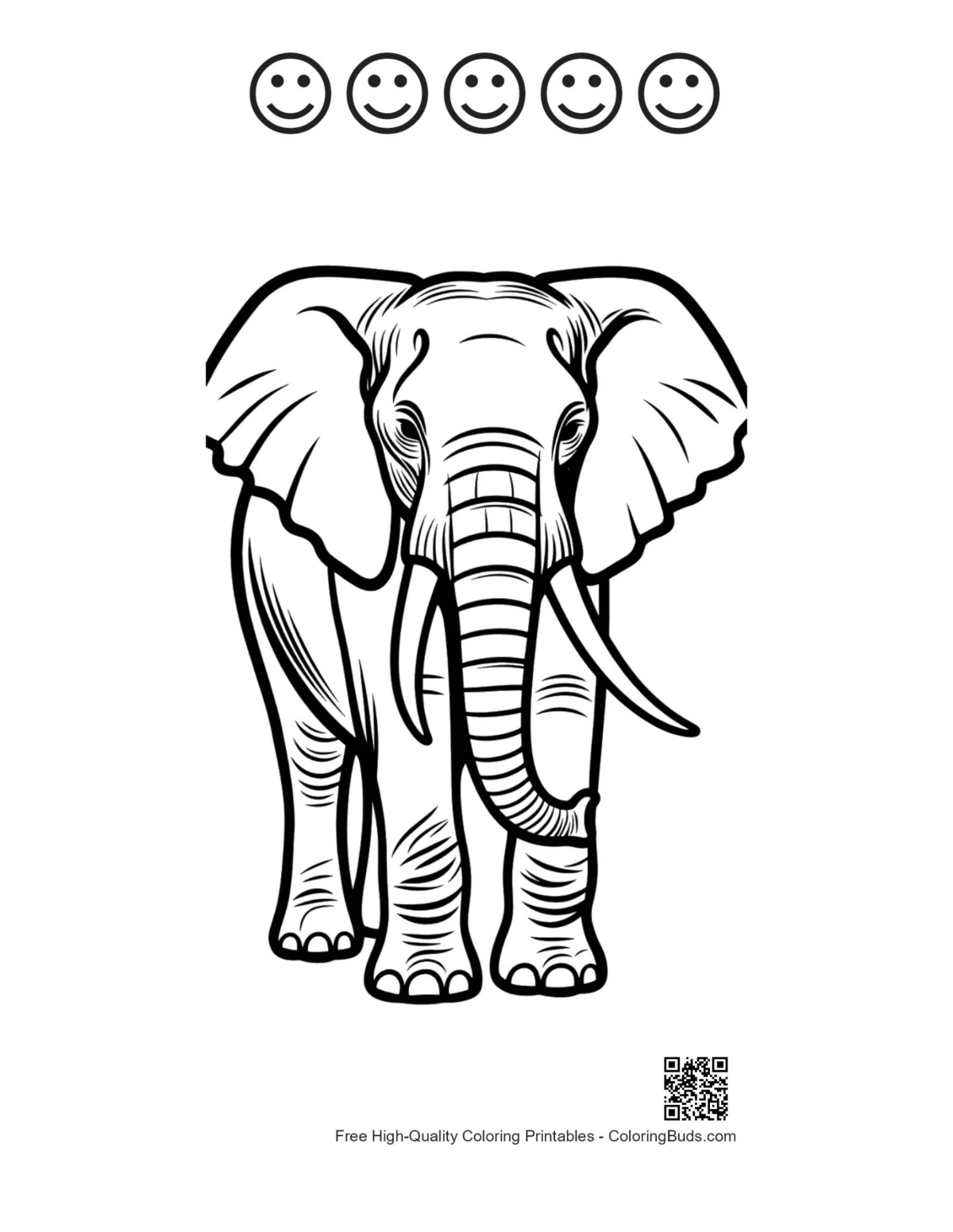 Elephant portrait with happy faces