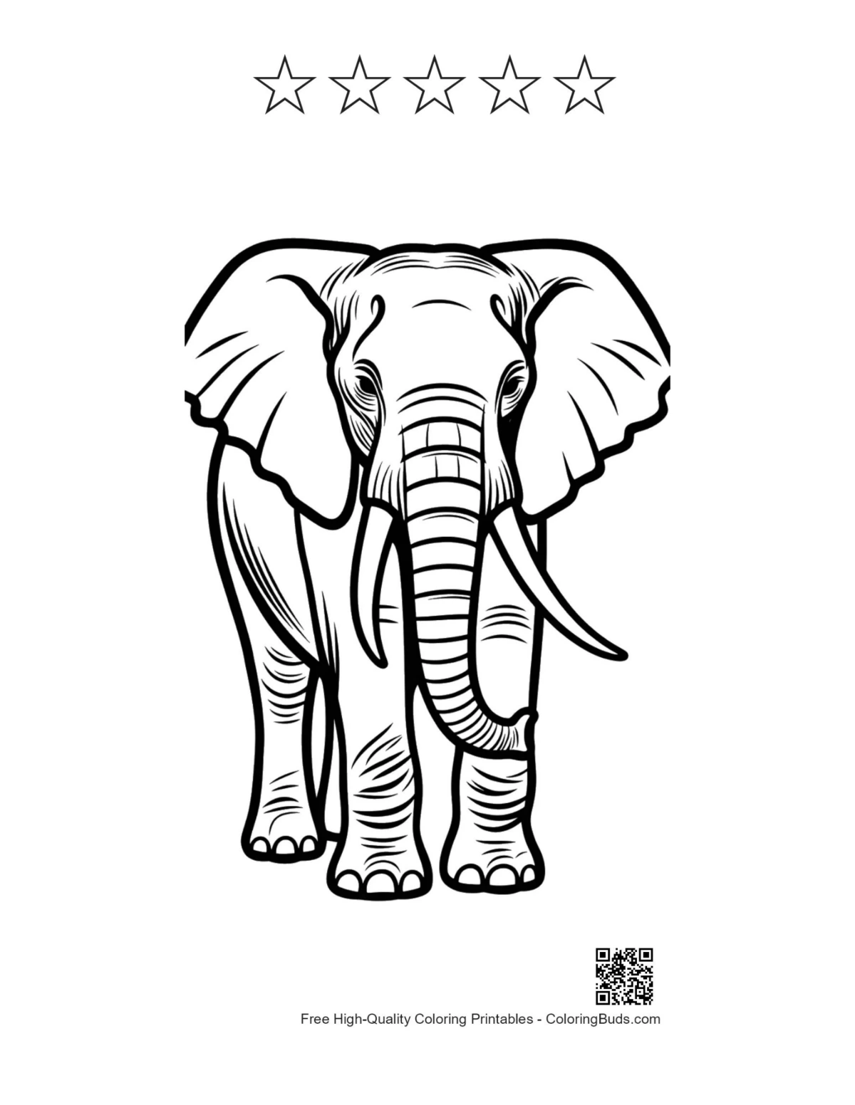 Elephant portrait with 5 star outlines