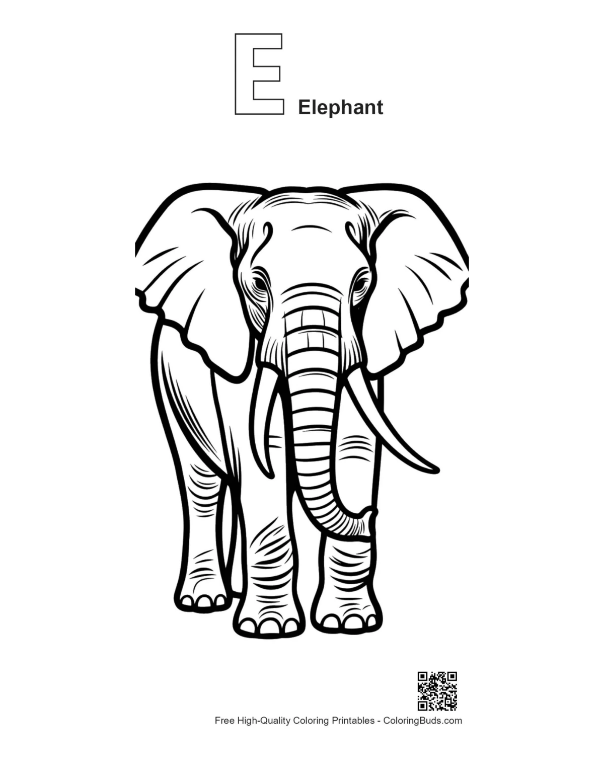 Elephant outline portrait with letter E