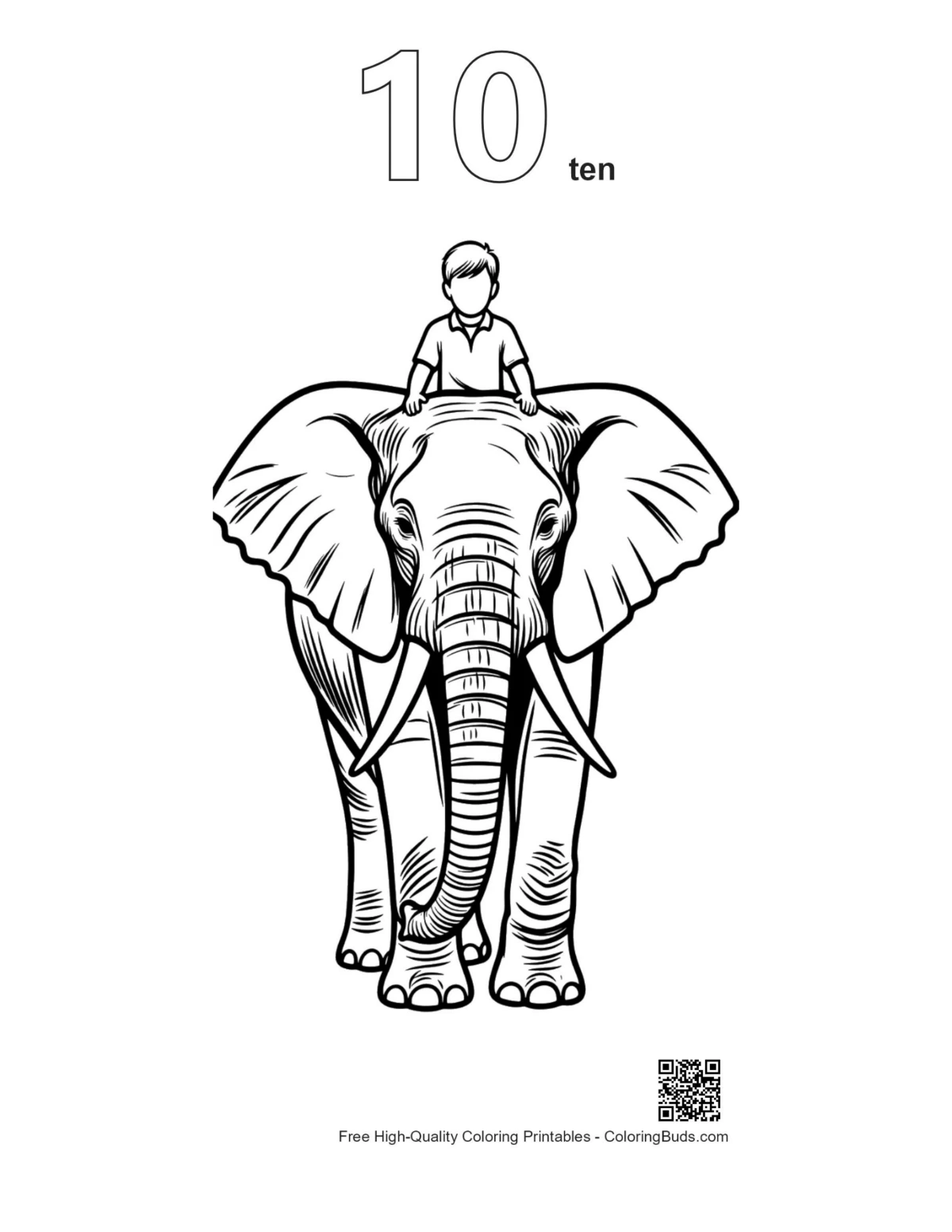Number 10 outline of boy riding African elephant