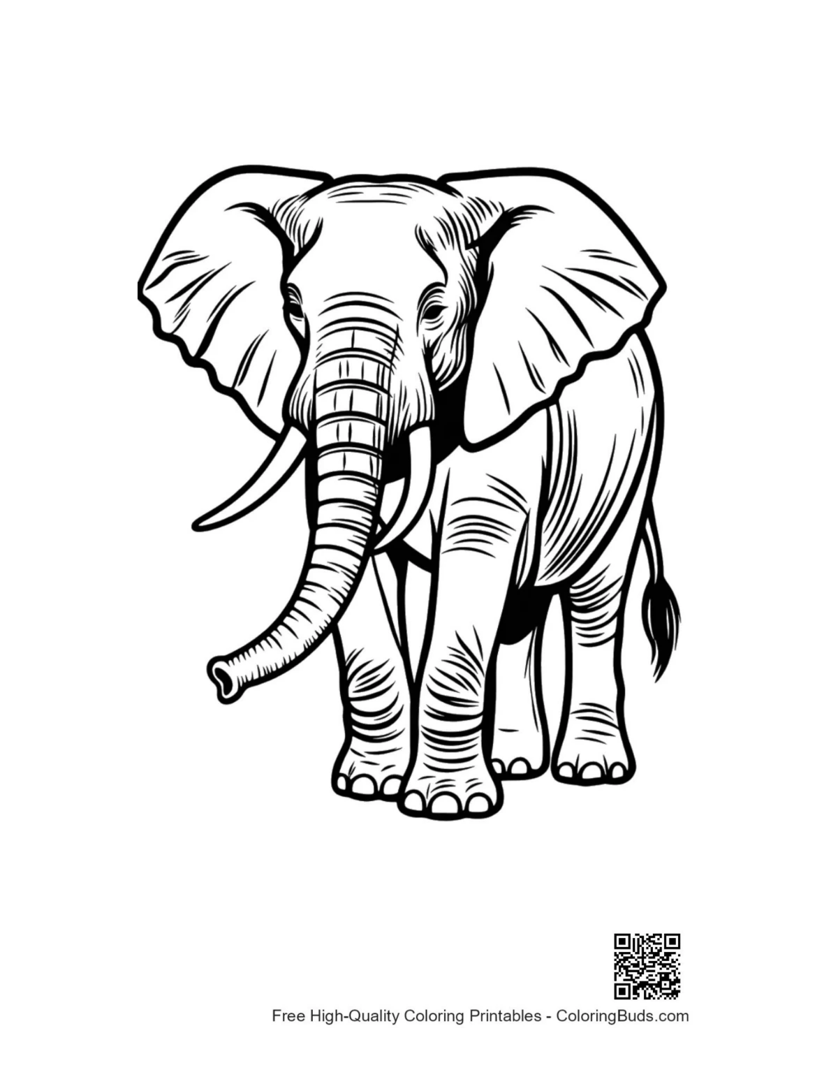 Majestic African elephant line art printable