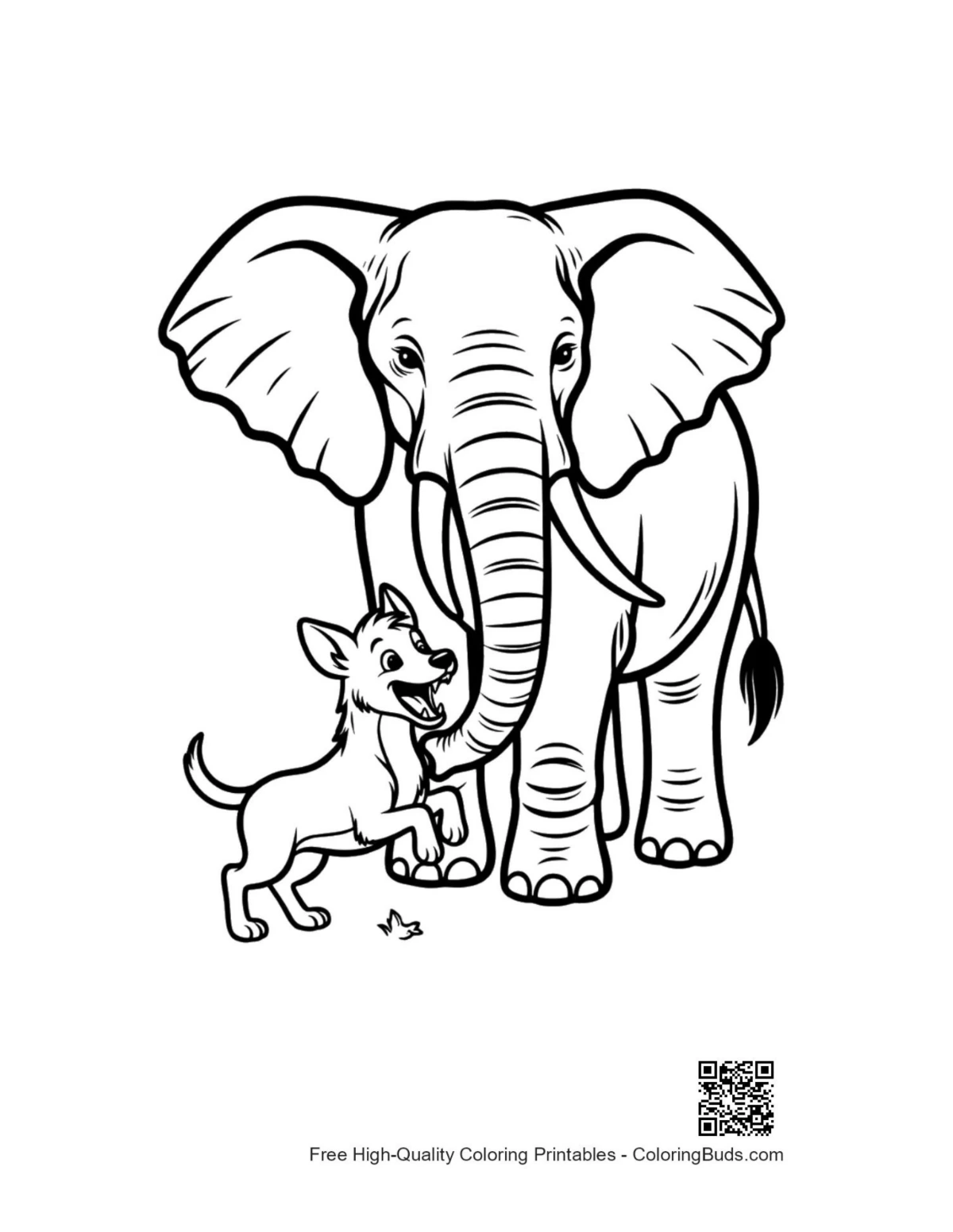 Tiny chihuahua playing with giant African elephant