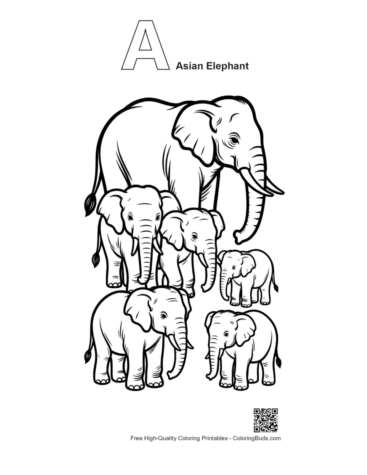 Outline alphabet A with Asian elephant family
