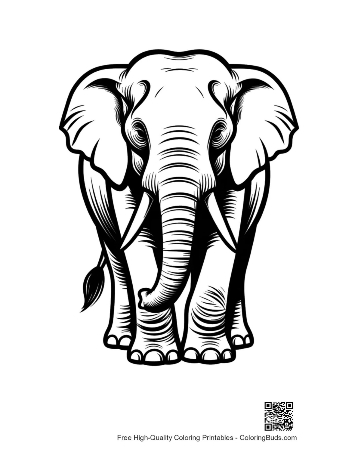Majestic Asian elephant line art portrait outline