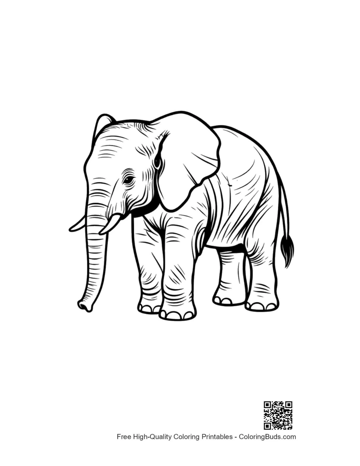 Cute baby elephant line art outline