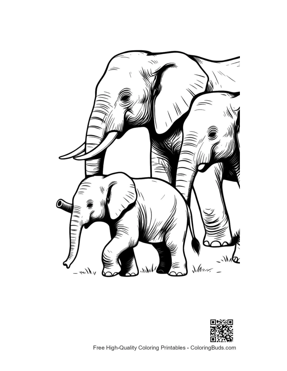 Baby elephant family stroll coloring page