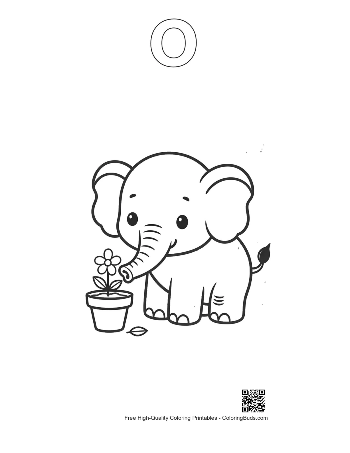 Baby elephant apples coloring page alphabet O outline