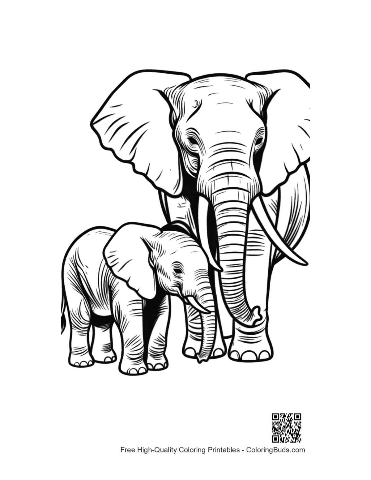 Cute mother elephant with baby calf outline