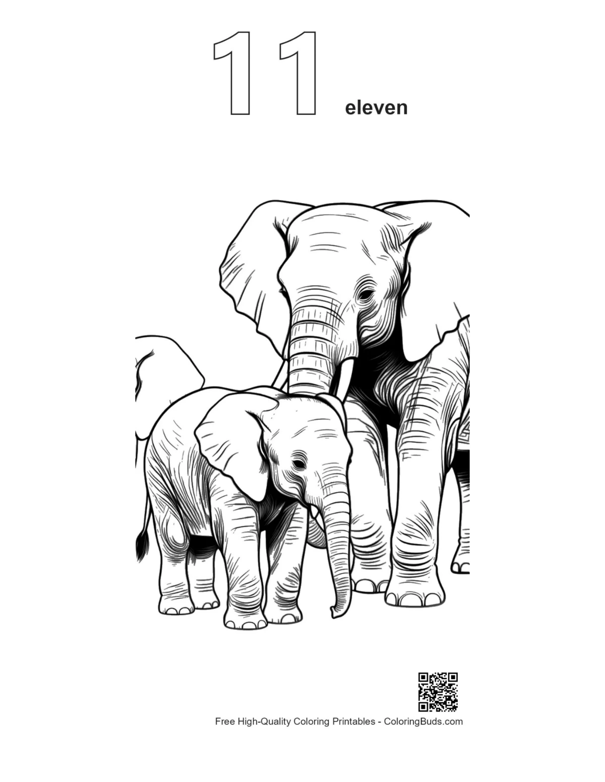 Number 11 baby elephant nuzzling outline printable
