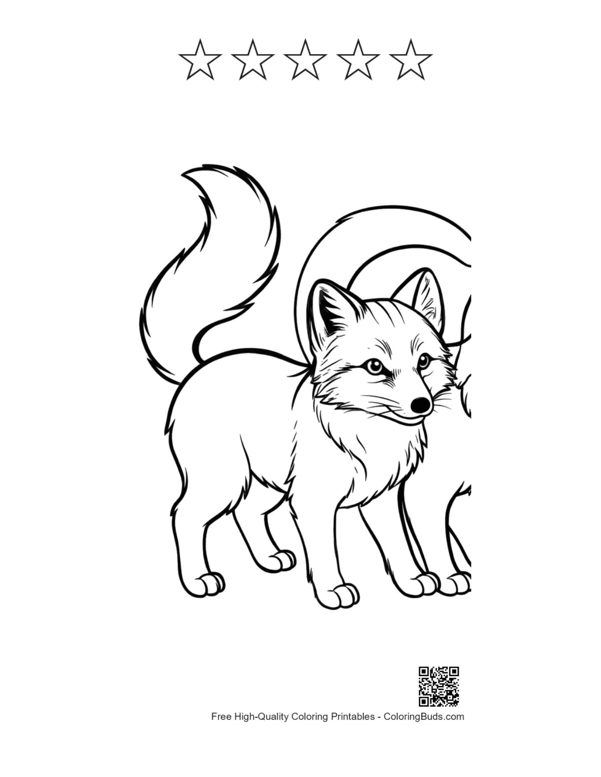 Arctic Fox Line Art with Star Outlines