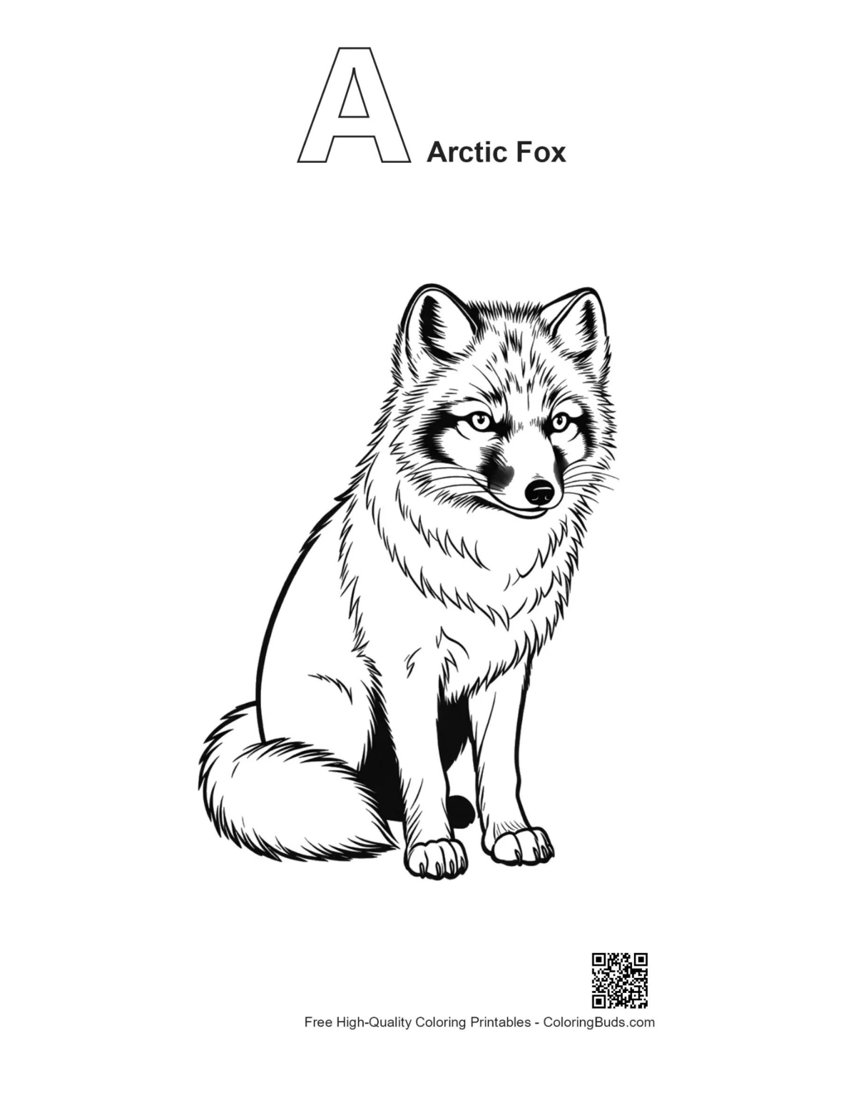 Outline arctic fox sitting with alphabet A