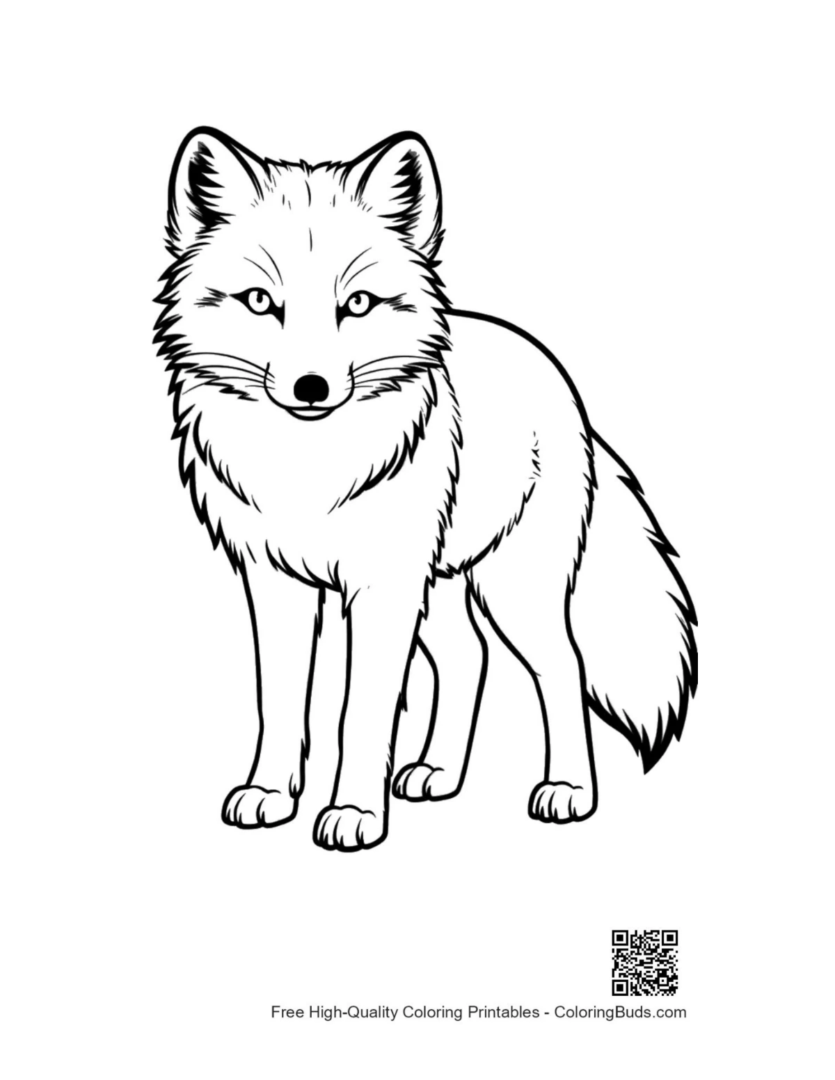 Cute arctic fox standing alert in snowy habitat illustration