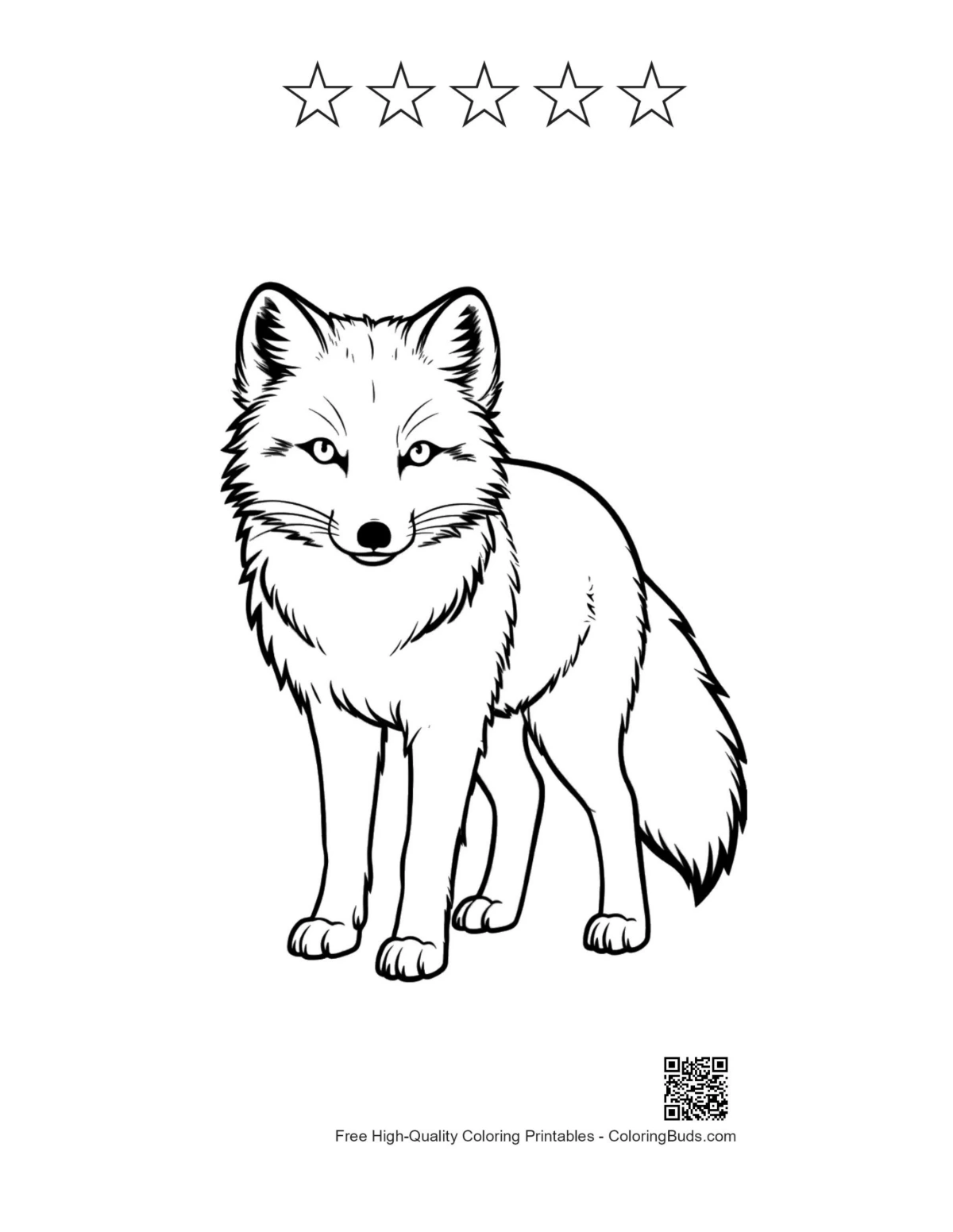 Arctic fox standing alert printable with five-star outline elements