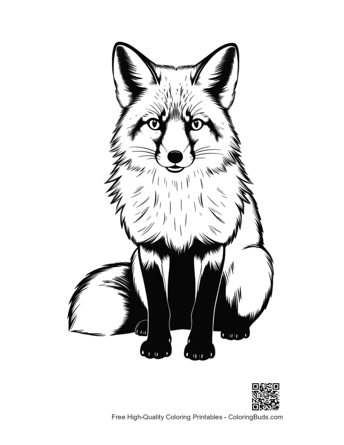 Alert red fox line art coloring page outline