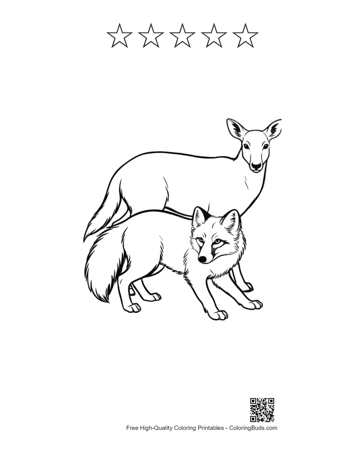 Arctic Fox Doe printable with five-star outlines
