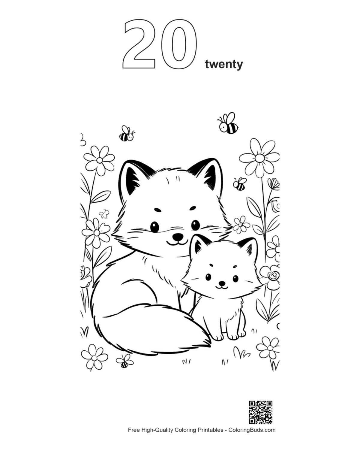 Arctic fox gift box outline numbered 20