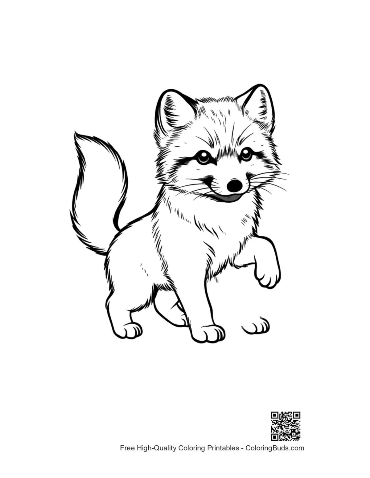 Cute arctic fox pup outline for coloring pages