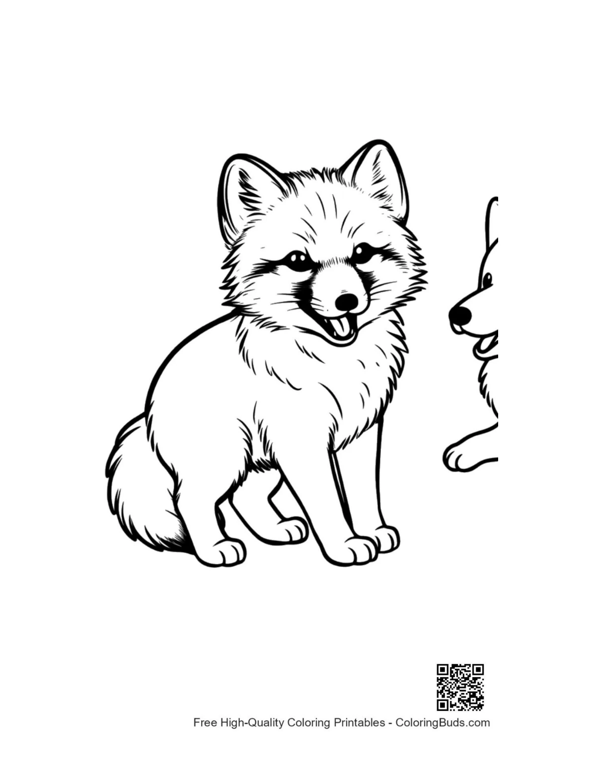 Cute arctic fox pup smiling outline