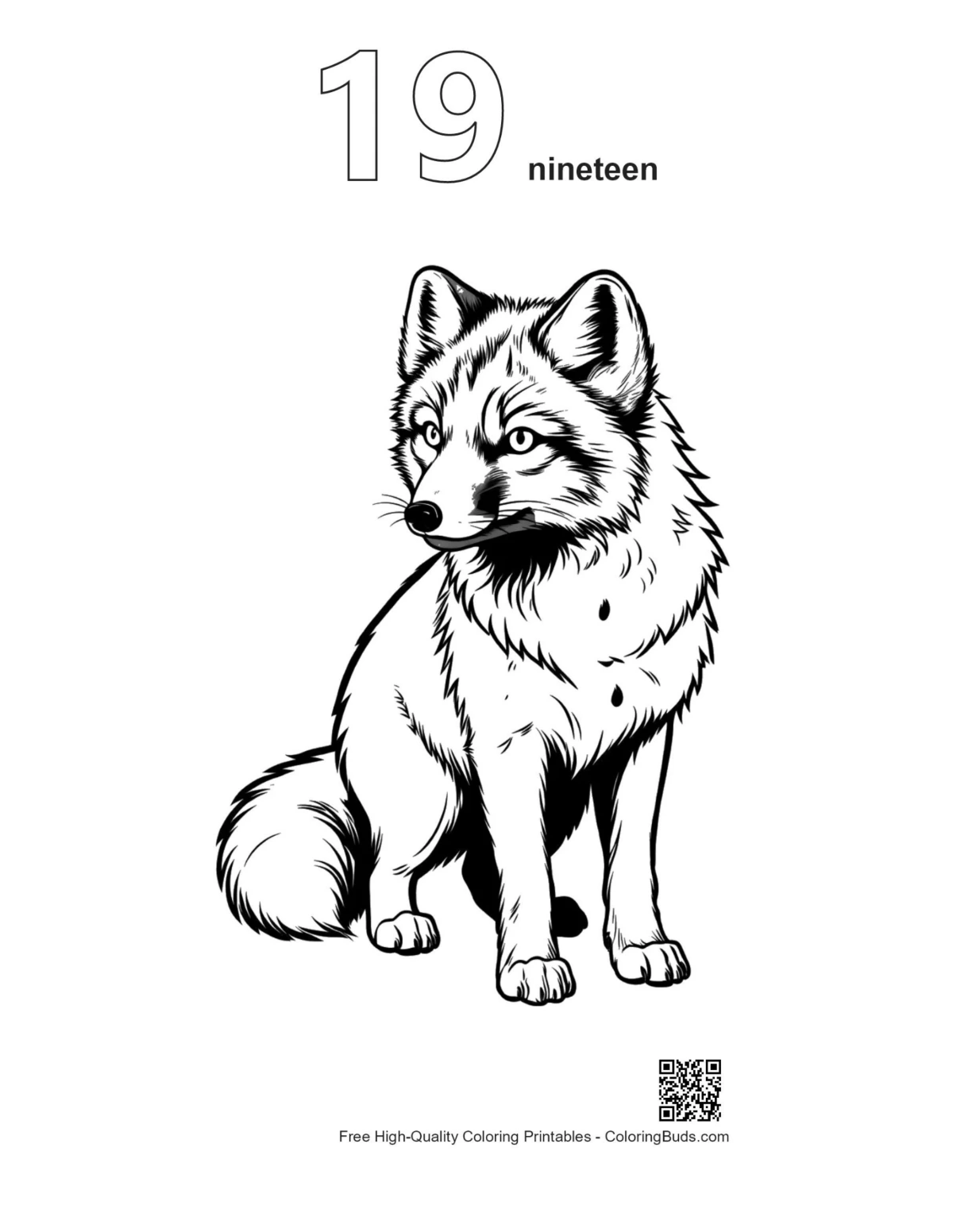 Fierce Arctic Fox outline number 19 printable