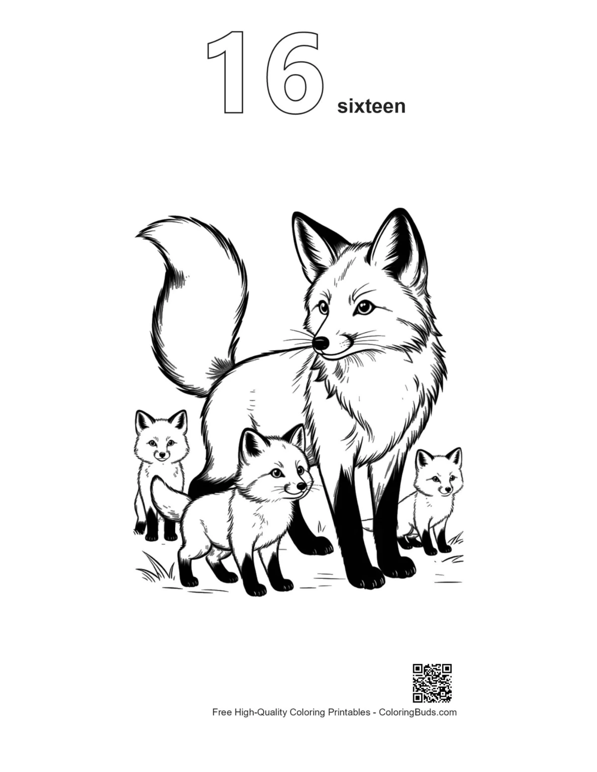 Outline number 16 of mother red fox with playful kits