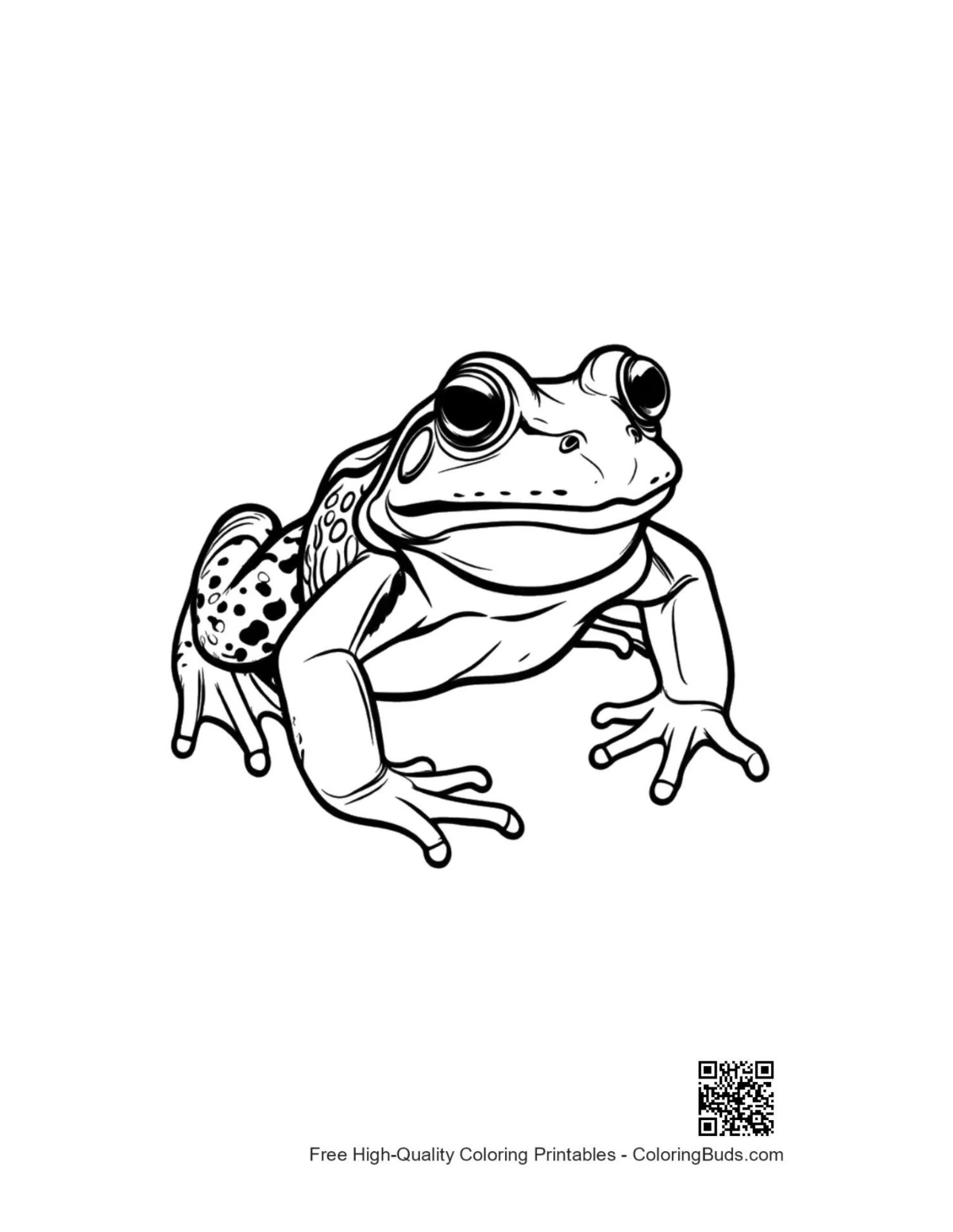 Bold bullfrog illustration coloring page