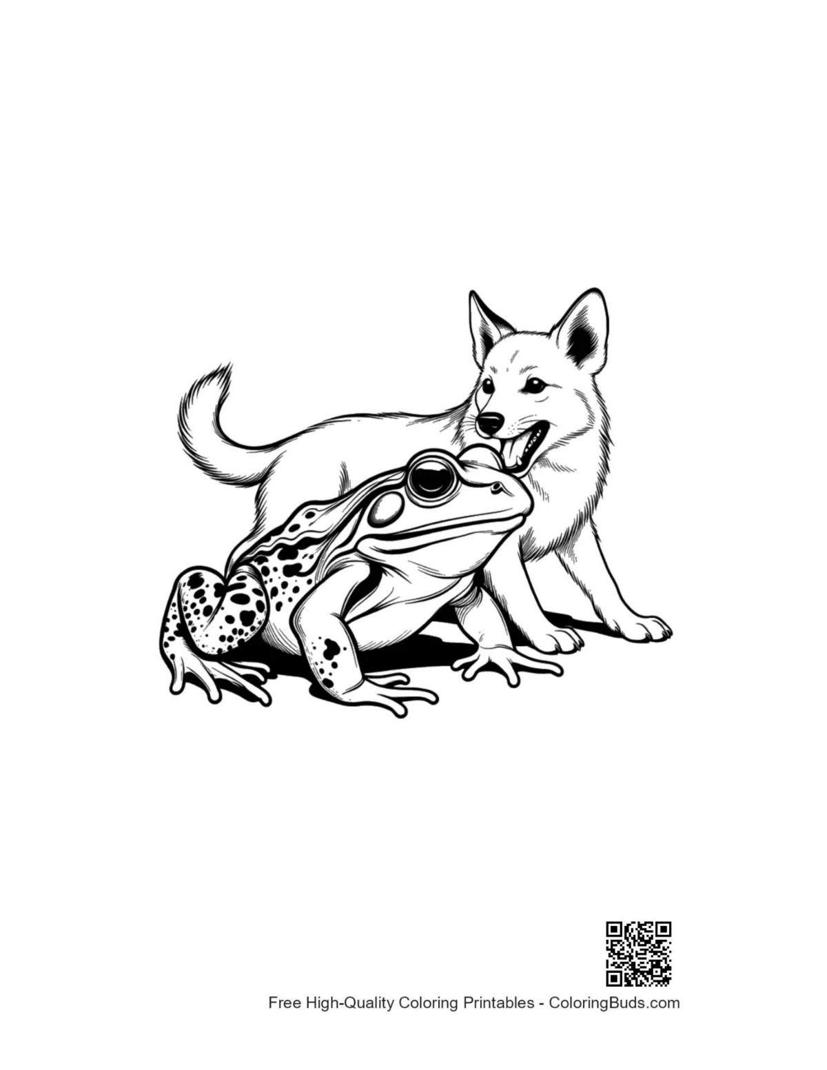 Bullfrog and white wolf friendship coloring page