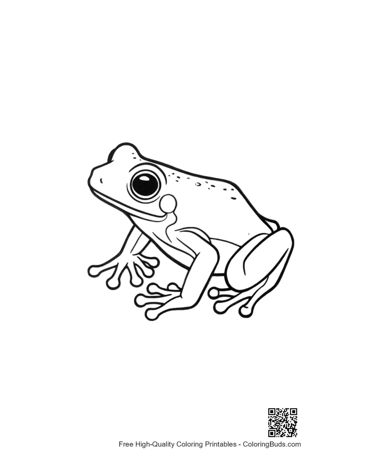 Curious tree frog illustration for coloring