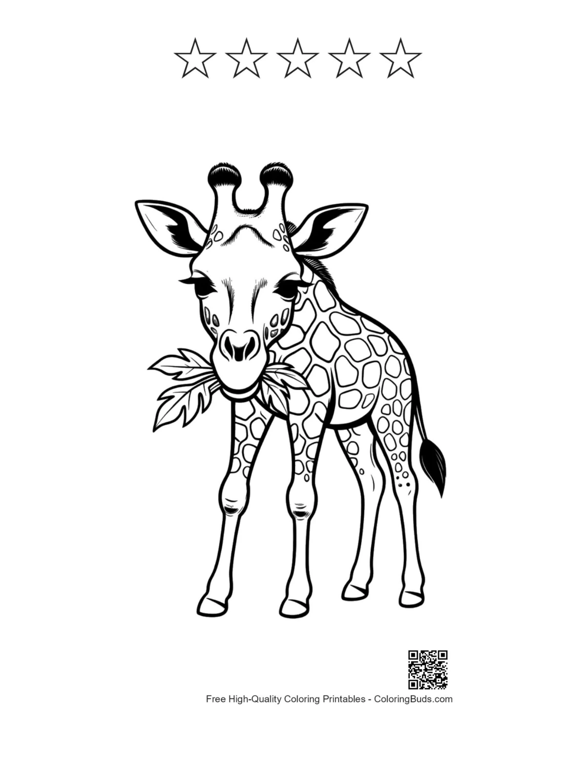 Baby giraffe munching leaves with 5 stars outline