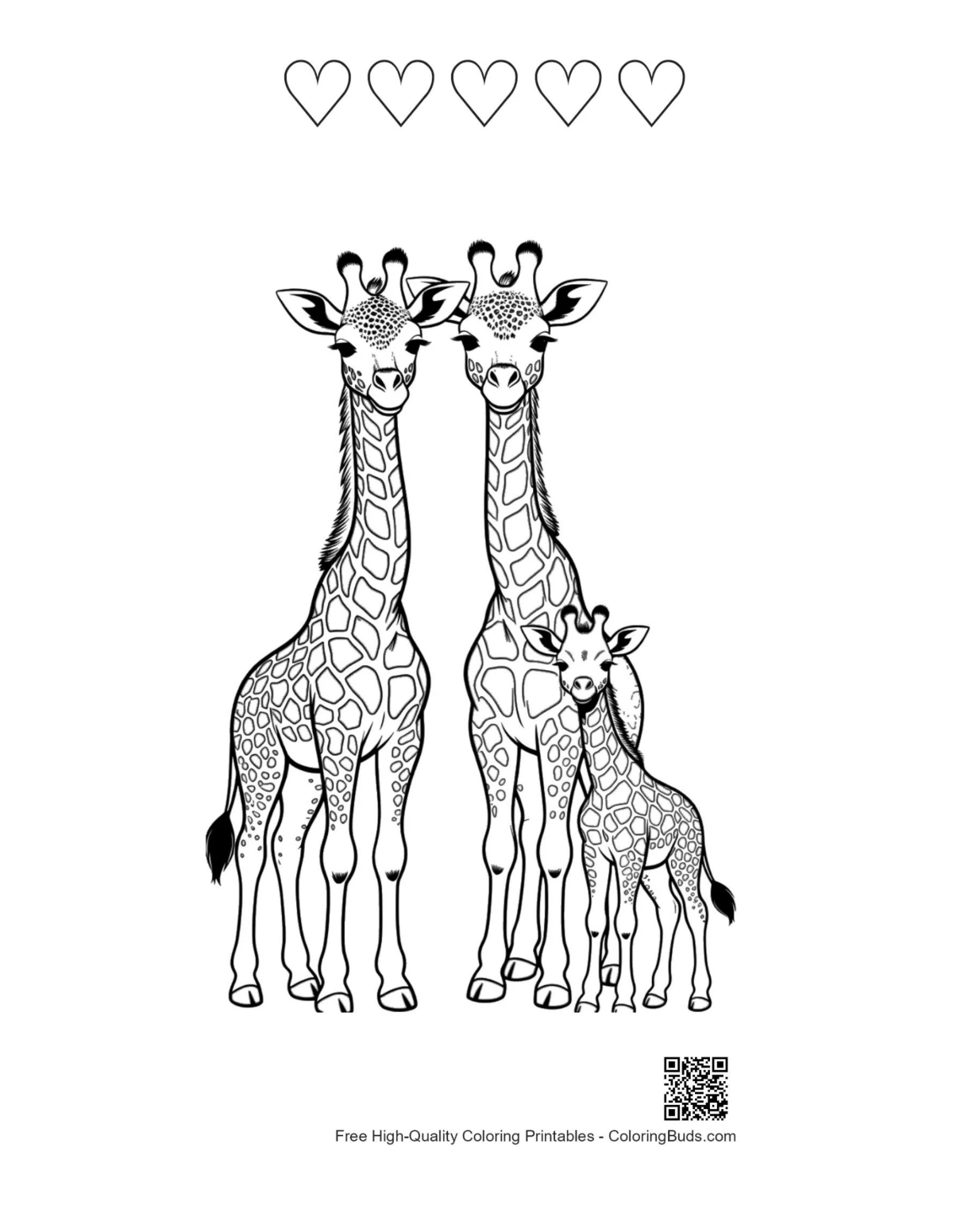 Cute giraffe family portrait with 5 heart outlines