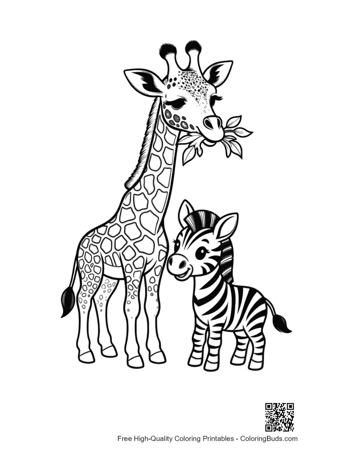 Giraffe and zebra eating leaves coloring page